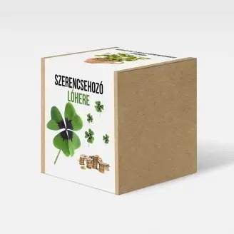 Szerencsehozó lóhere növény nevelő szett
