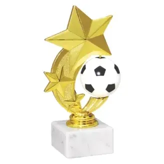 Díj - Focilabda csillag