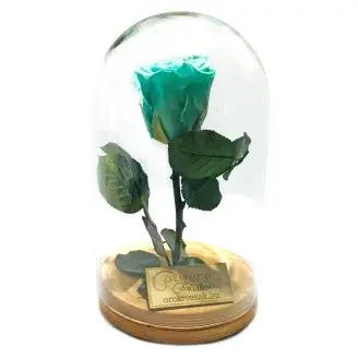 Örökózsa üvegbúrában -  Menta