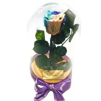 Örökózsa üvegbúrában -  Unikornis szivárvány