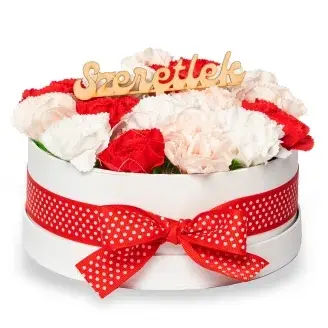 Szappanszegfű box - vegyes színben