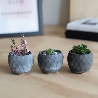 Mini növénytartó - "Terme" - fekete