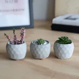 Mini növénytartó - "Terme" - szürke