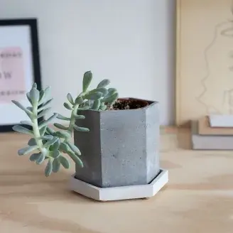 Sík falú növénytartó alátéttel - "Assez" - szürke