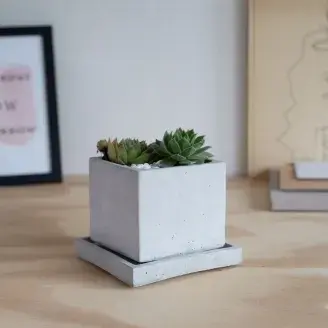 4 oldalas növénytartó alátéttel- "Amical" - szürke