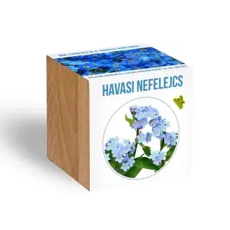 Havasi nefelejcs növény nevelő szett