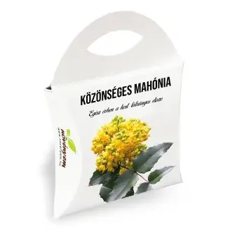 Közönséges Mahónia díszdobozban